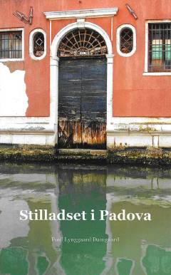 Stilladset i Padova