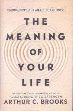 The meaning of your life : finding purpose in an age of emptiness