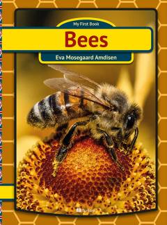 Bees