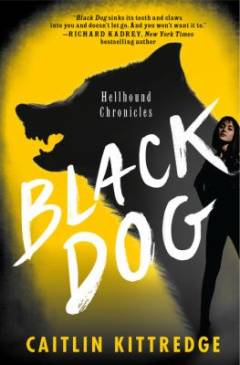 Black dog