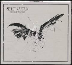 Strings & feathers