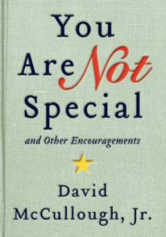 You are not special : and other encouragements