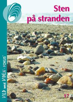 Sten på stranden