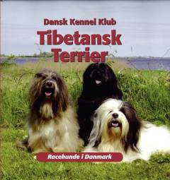 Tibetansk terrier