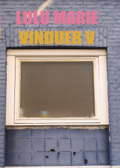 Vinduer. Bind 5 : Amager, Frederiksberg, Nørrebro, London, Odense, Rom, Roskilde, Østerbro