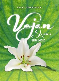 Vejen : Jesus unplugged