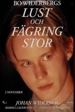 Film (dvd), 2005