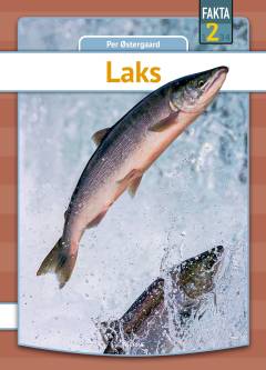 Laks
