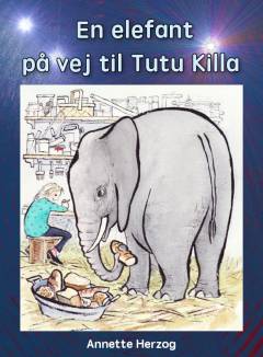 En elefant på vej til Tutu Killa