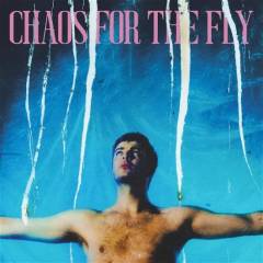 Chaos for the fly