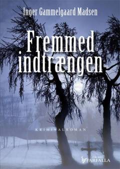 Fremmed indtrængen : kriminalroman