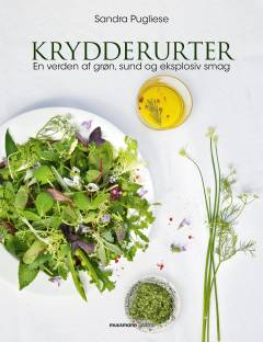 Krydderurter : en verden af grøn, sund og eksplosiv smag