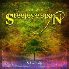 Catch up : the essential Steeleye Span