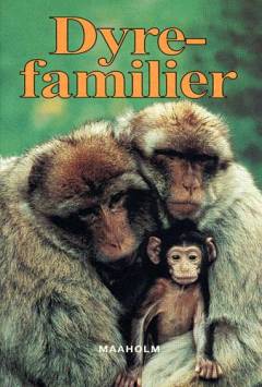 Bog, 1. udgave, 2002