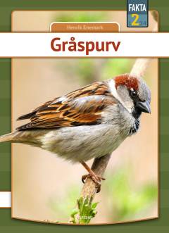 Gråspurv