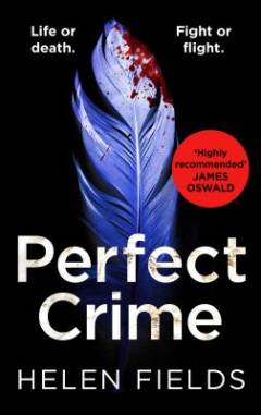 Perfect crime
