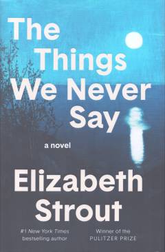 The things we never say : a novel
