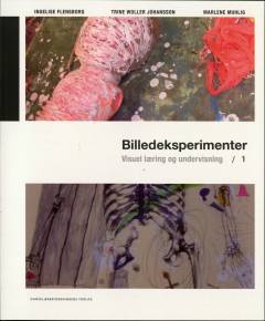 Billedeksperimenter : visuel læring og undervisning