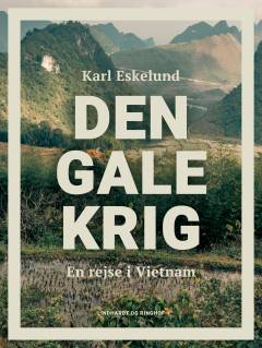Den gale krig : en rejse i Vietnam
