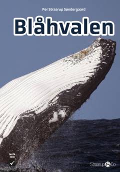Blåhvalen