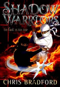 Shadow warriors