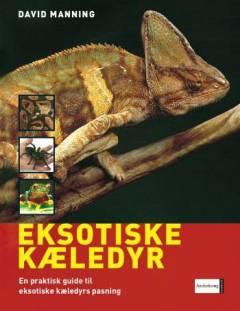 Bog, 1. udgave, 2006