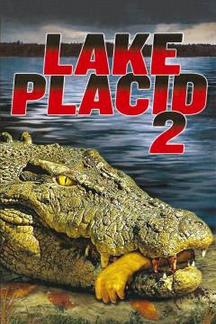 Film (dvd), 2007