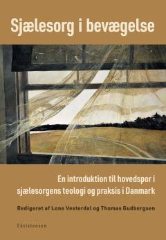 Sjælesorg i bevægelse : en introduktion til hovedspor i sjælesorgens teologi og praksis i Danmark