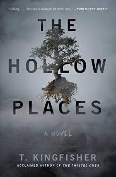 The hollow places : a novel