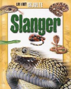 Slanger