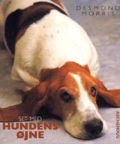 Set med hundens øjne