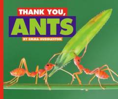 Thank you, ants