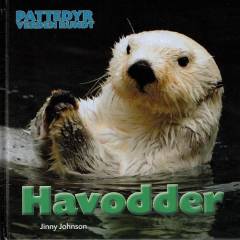 Havodder