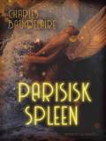 Parisisk spleen: små prosadigte