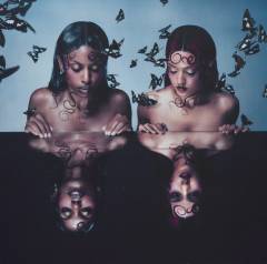 Parasites & butterflies