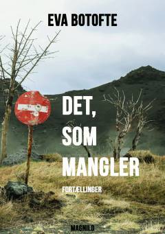 Det, som mangler : fortællinger