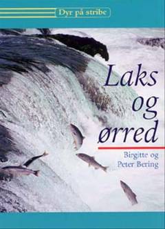 Laks og ørred
