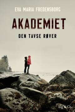 Akademiet - den tavse røver