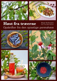 Høst fra træerne : opskrifter fra den spiselige permahave