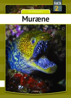 Muræne