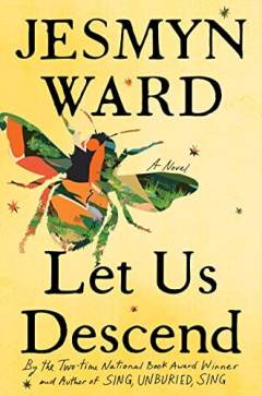 Let us descend : a novel