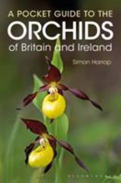 A pocket guide to the orchids of Britain and Ireland
