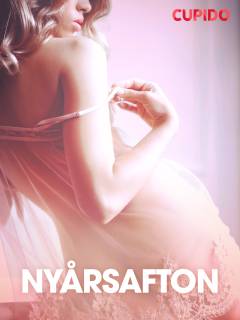 Nyårsafton - erotiska noveller