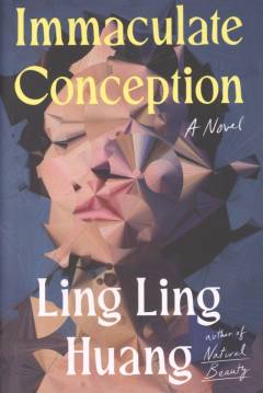 Immaculate conception : a novel