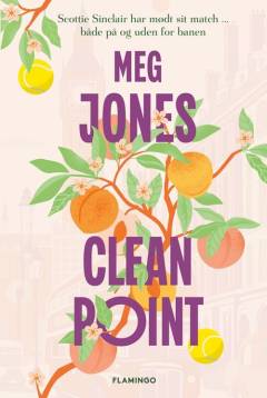 Clean point