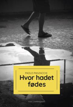 Hvor hadet fødes : krimi