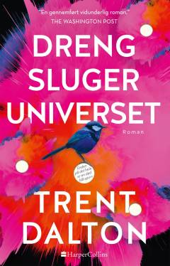 Dreng sluger universet