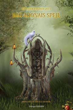 Bog, 1. udgave, 2011