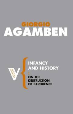 Infancy and history : the destruction of experience
