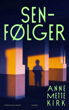 Senfølger : psykologisk thriller